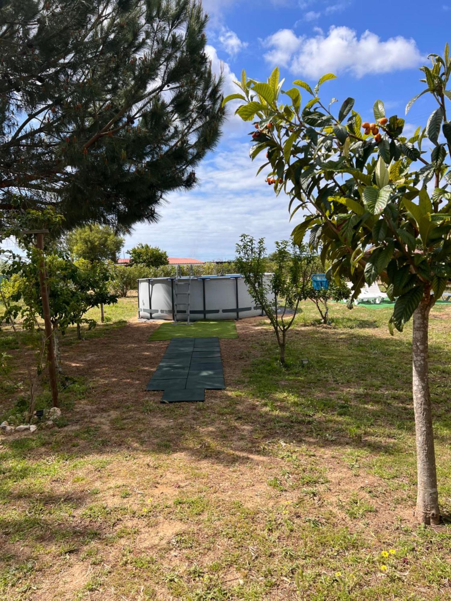 Quinta Dos Viegas Villa ฟารู ภายนอก รูปภาพ